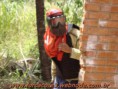 /album/galeria-de-fotos/jogo-19-02-2011-12-jpg/